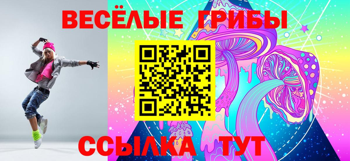 Галлюциногенные грибы Cubensis  где купить наркотик  Ярославль  Вход с VPN 
